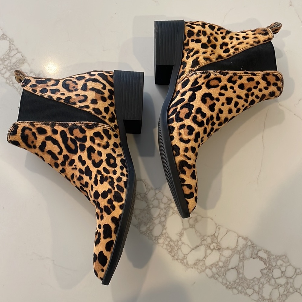 Steve Madden Jerry Leopard Calf Hair Booties - Picture 4 of 6
